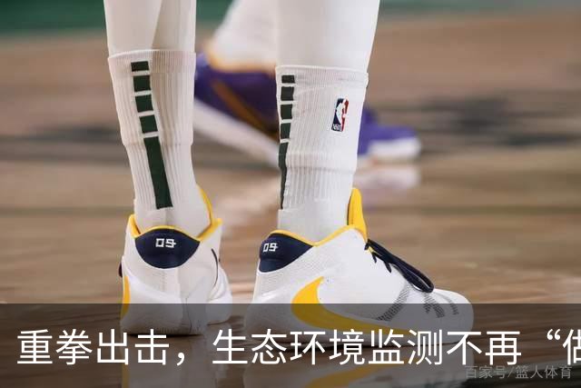 重拳出击，生态环境监测不再“做假